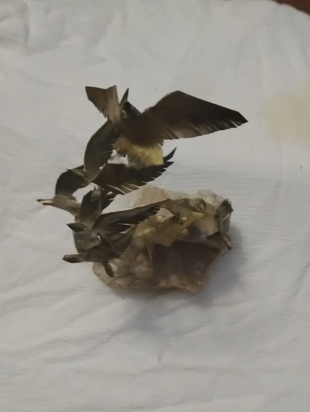 Bronze-Tone Flying Birds Sculpture Accent